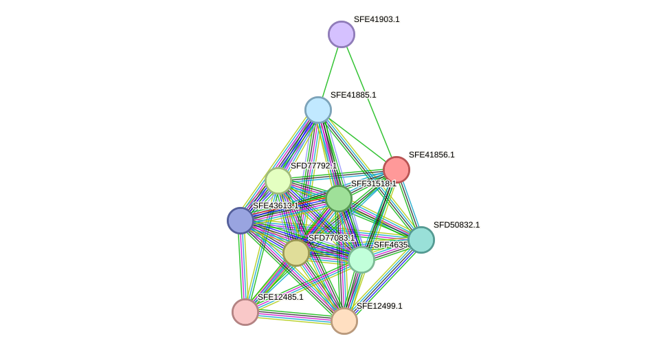 STRING protein interaction network