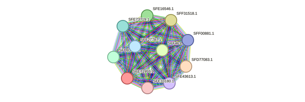 STRING protein interaction network