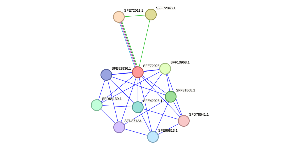 STRING protein interaction network