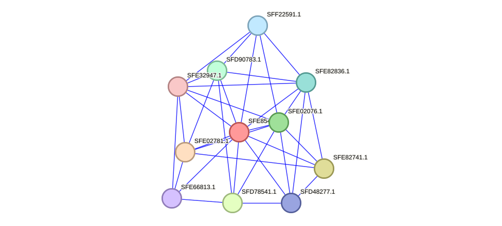 STRING protein interaction network