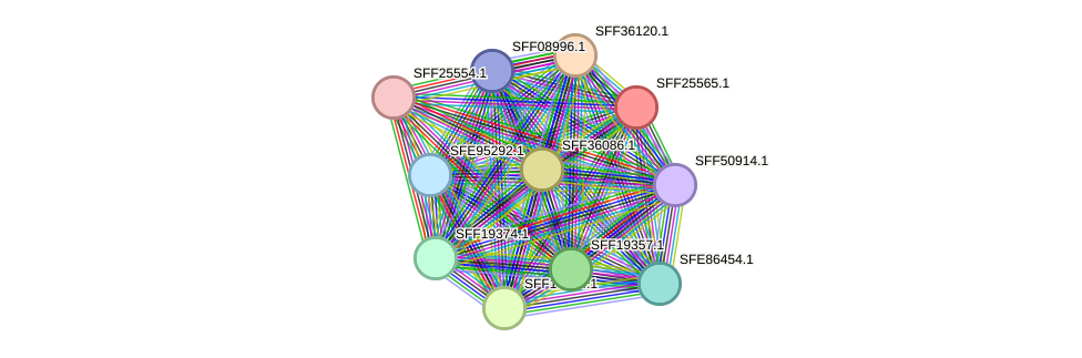 STRING protein interaction network