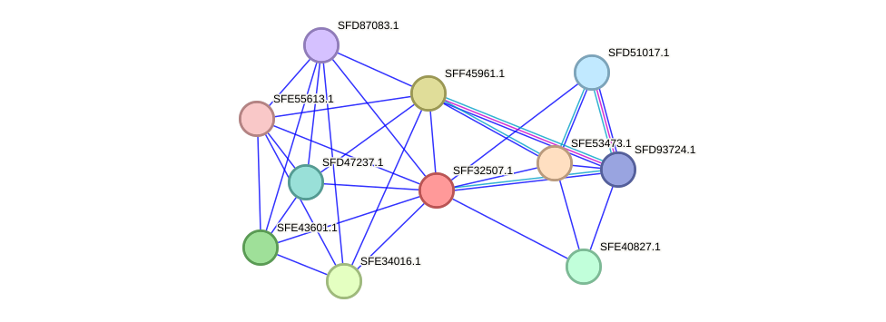 STRING protein interaction network