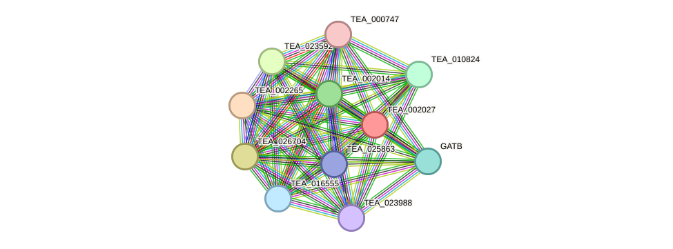 STRING protein interaction network