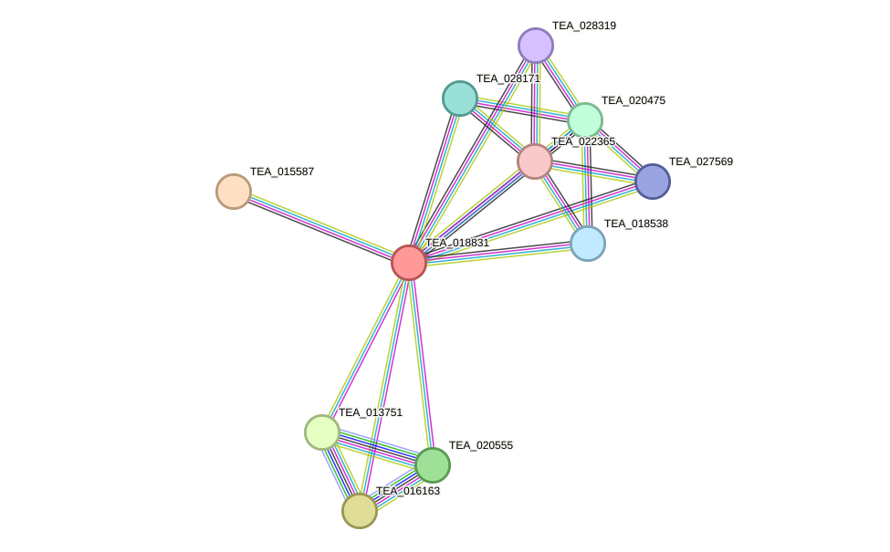 STRING protein interaction network