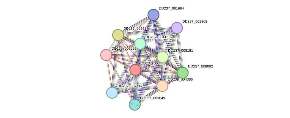 STRING protein interaction network