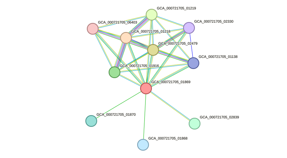 STRING protein interaction network