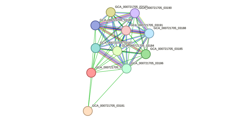 STRING protein interaction network