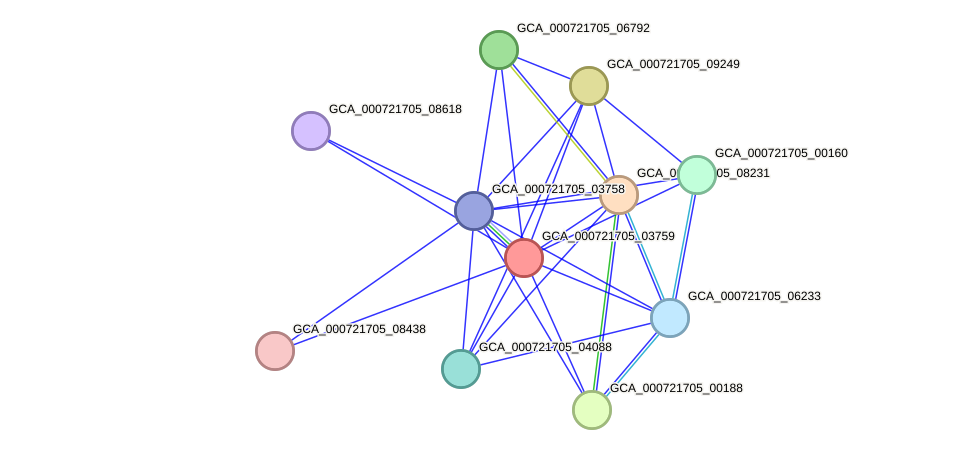 STRING protein interaction network