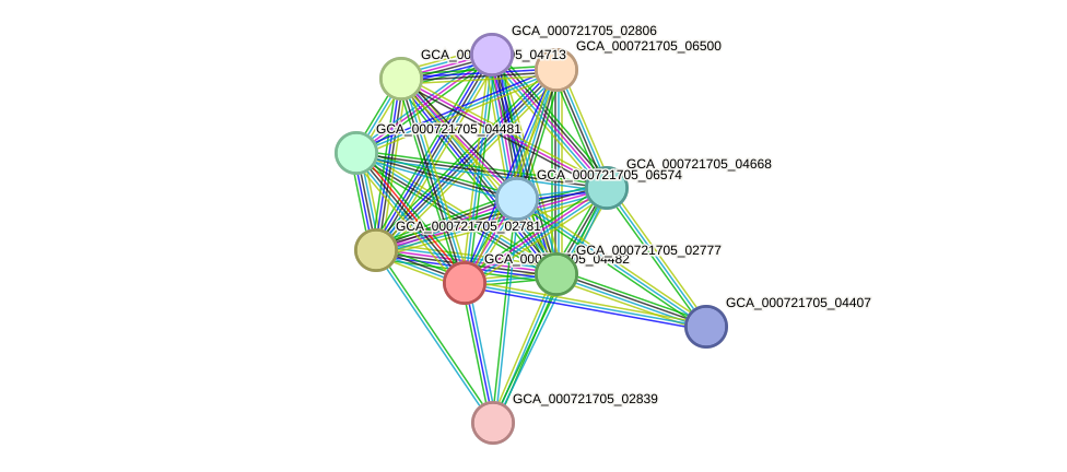 STRING protein interaction network