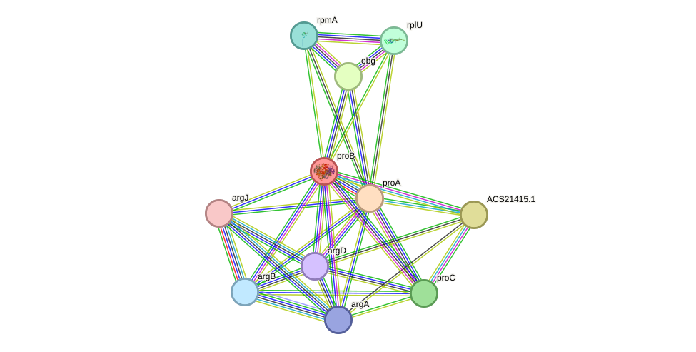 STRING protein interaction network