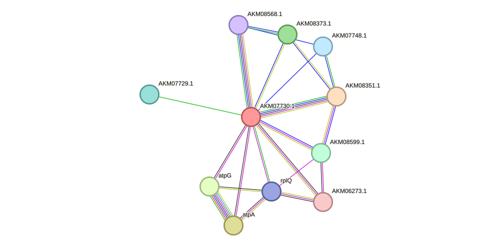 STRING protein interaction network