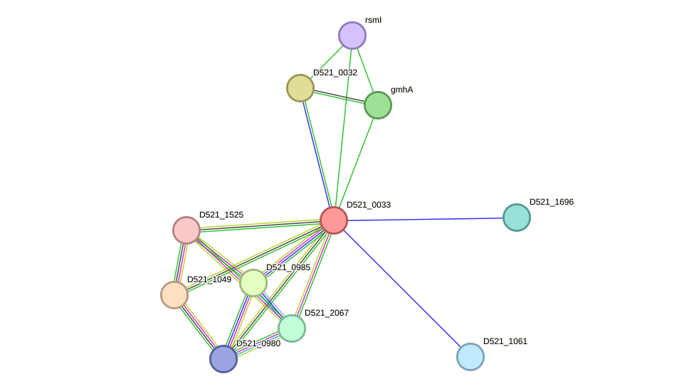 STRING protein interaction network