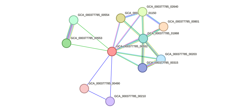 STRING protein interaction network