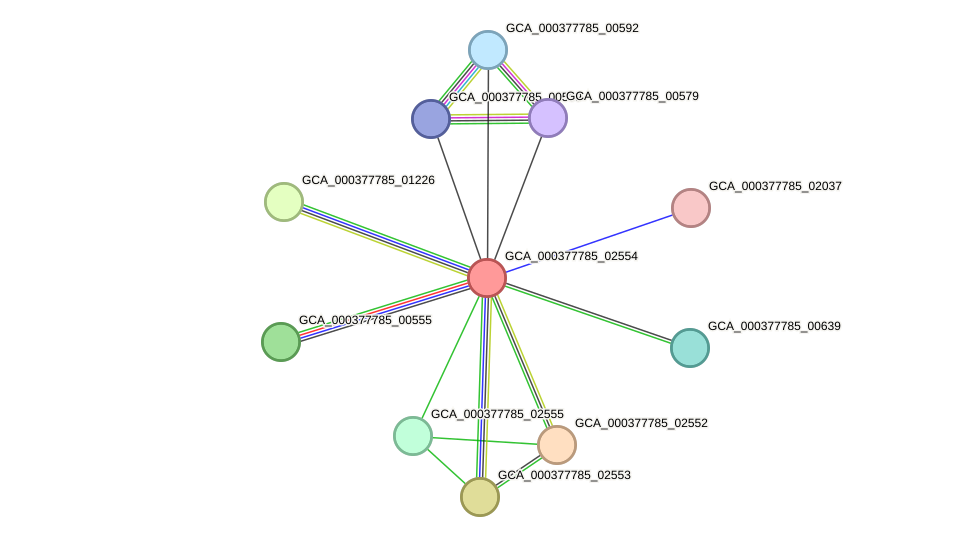 STRING protein interaction network