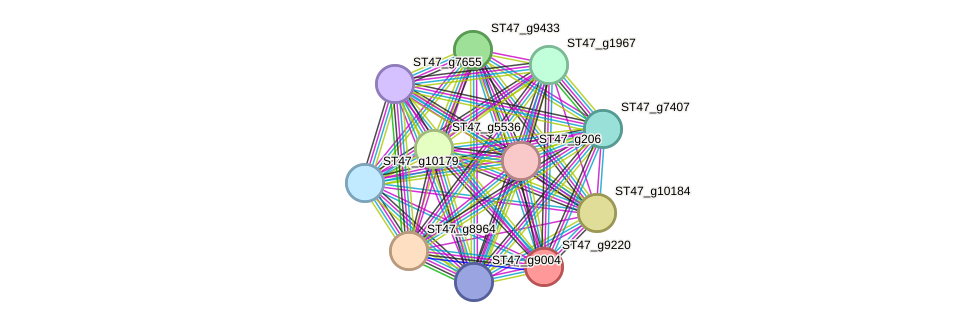 STRING protein interaction network