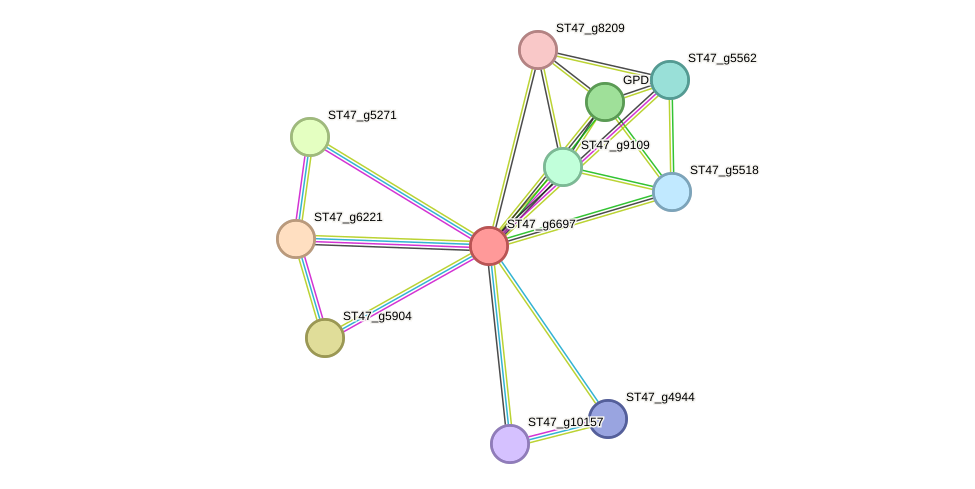 STRING protein interaction network