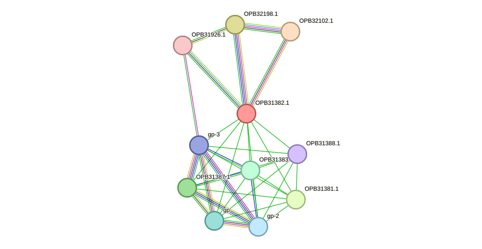 STRING protein interaction network