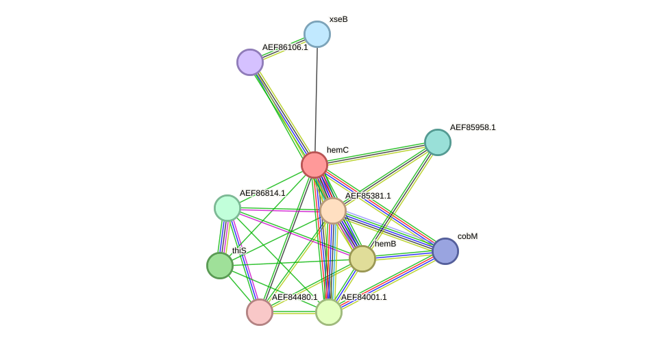 STRING protein interaction network