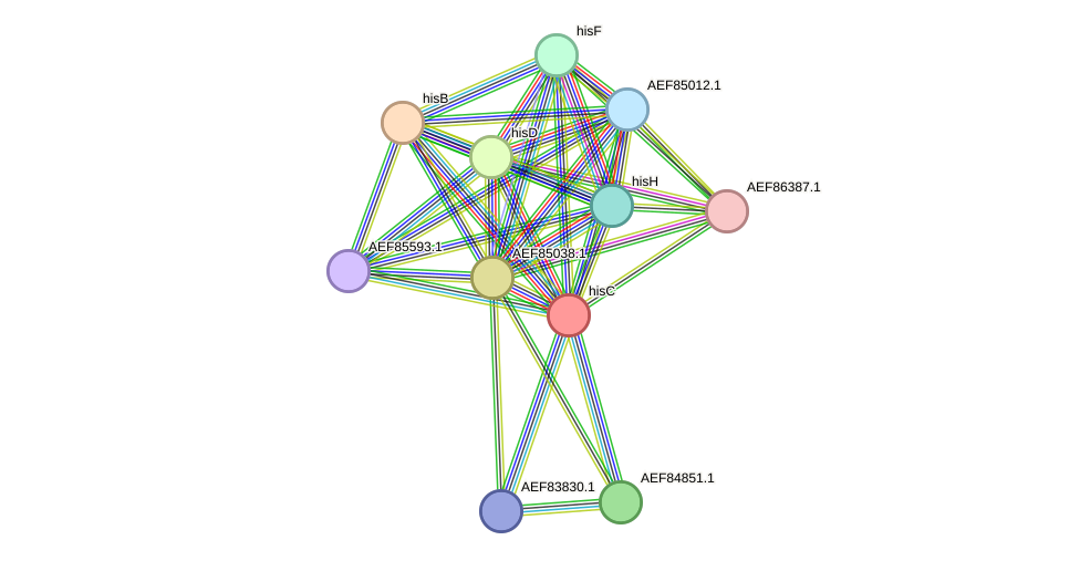 STRING protein interaction network