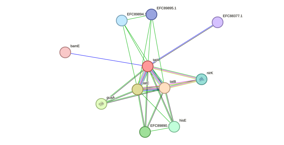 STRING protein interaction network