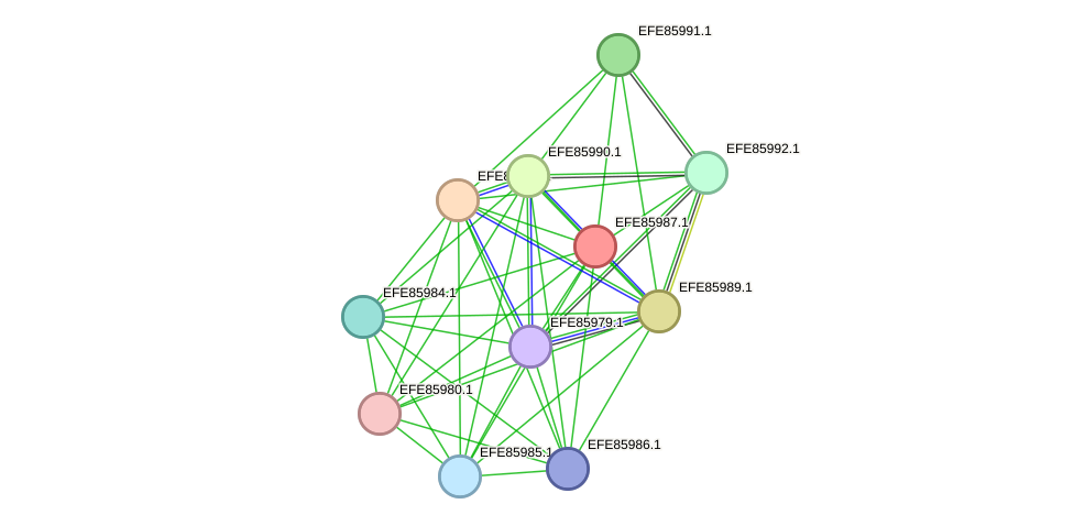 STRING protein interaction network
