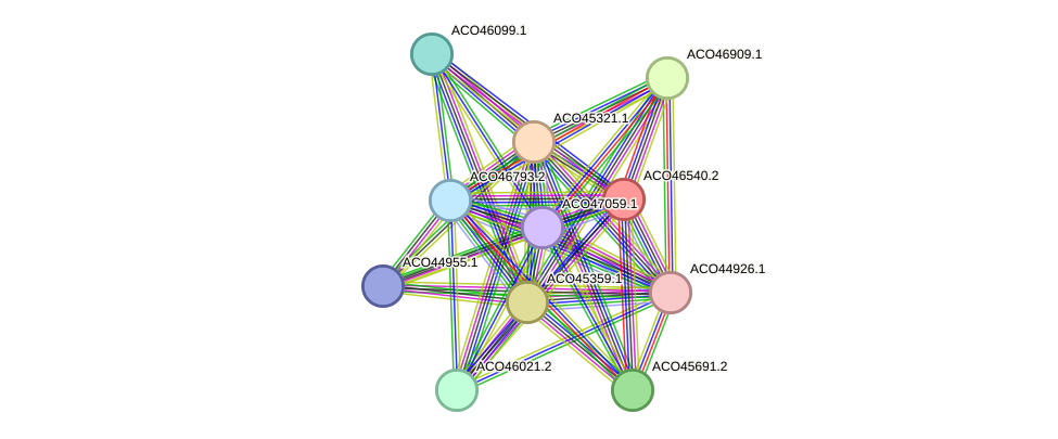 STRING protein interaction network