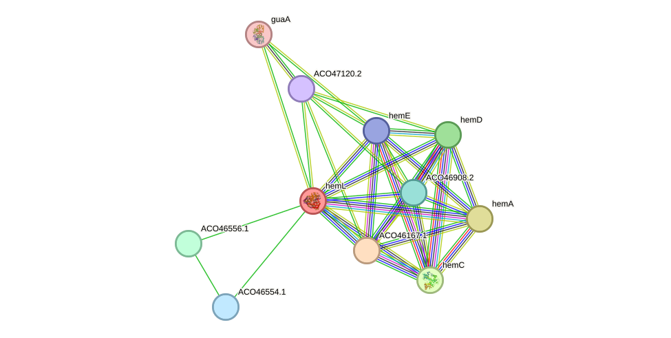 STRING protein interaction network