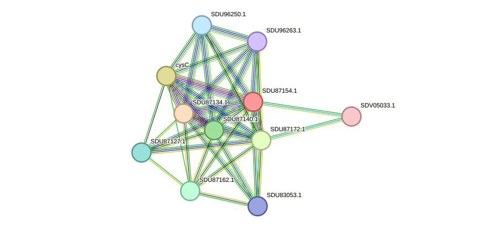 STRING protein interaction network