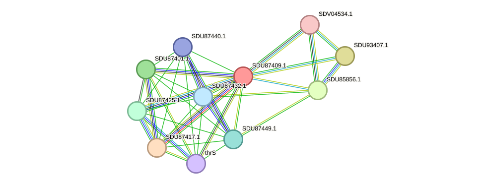 STRING protein interaction network