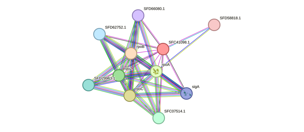 STRING protein interaction network