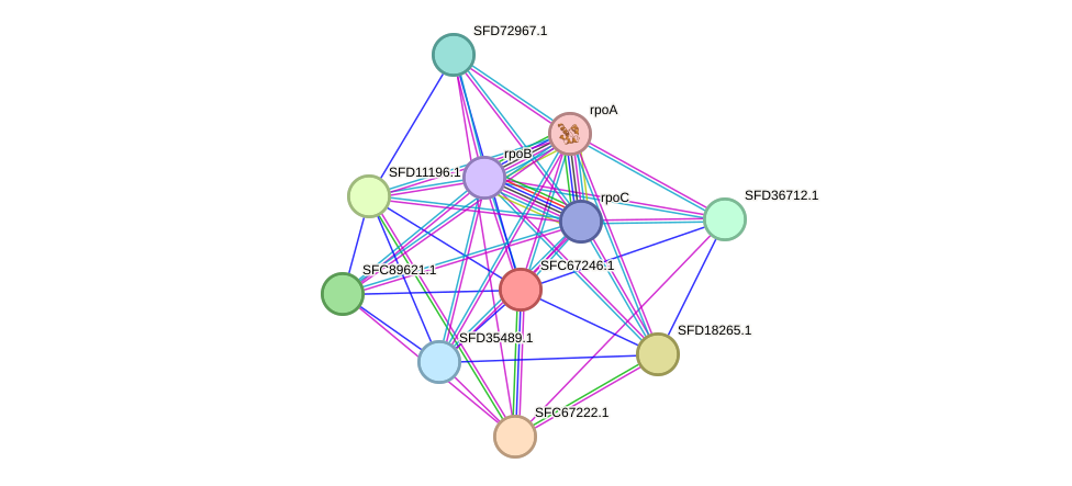 STRING protein interaction network