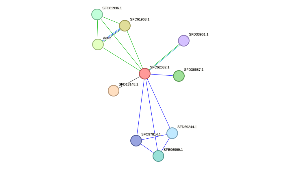 STRING protein interaction network