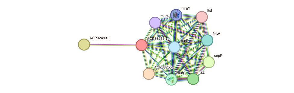 STRING protein interaction network