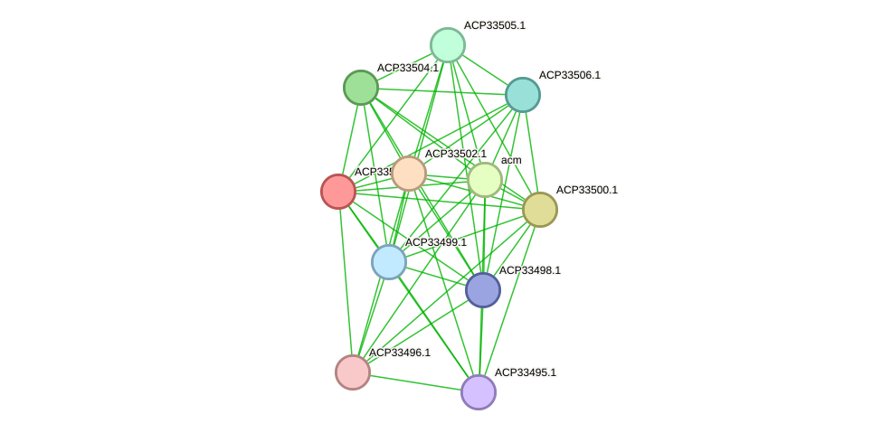 STRING protein interaction network