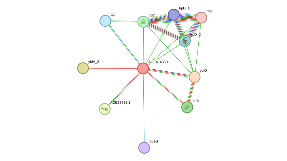 STRING protein interaction network