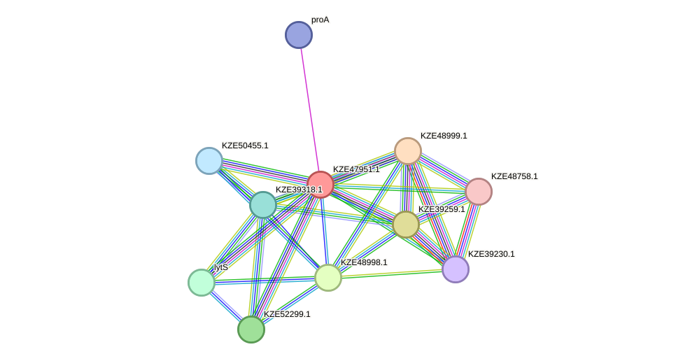 STRING protein interaction network