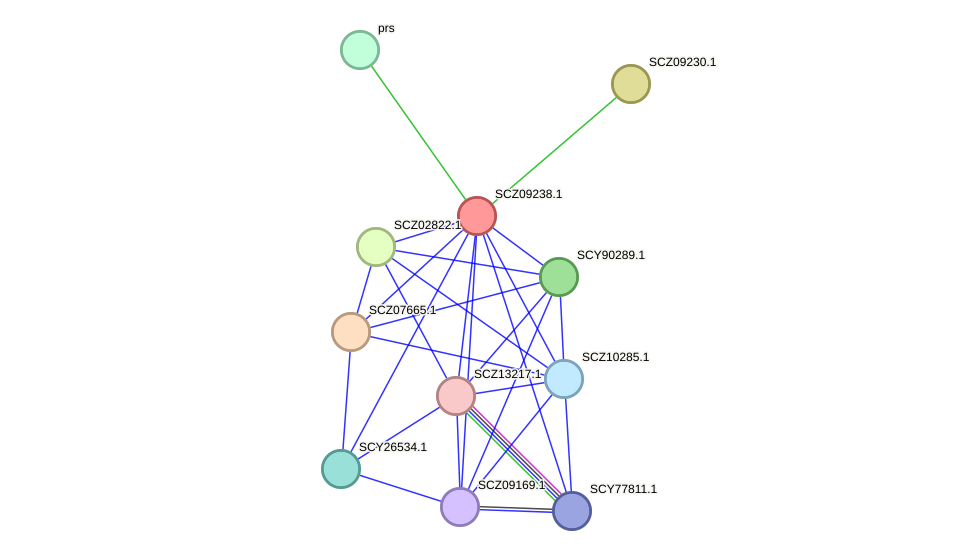 STRING protein interaction network