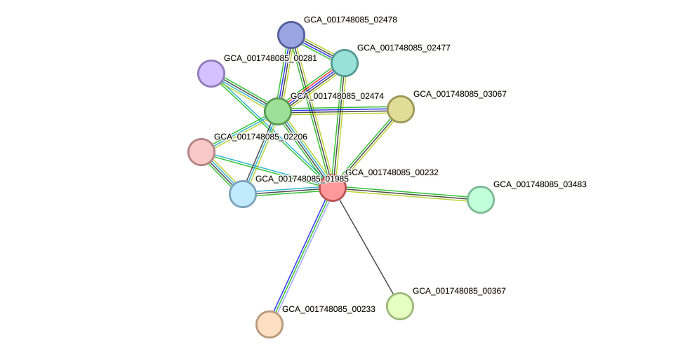 STRING protein interaction network