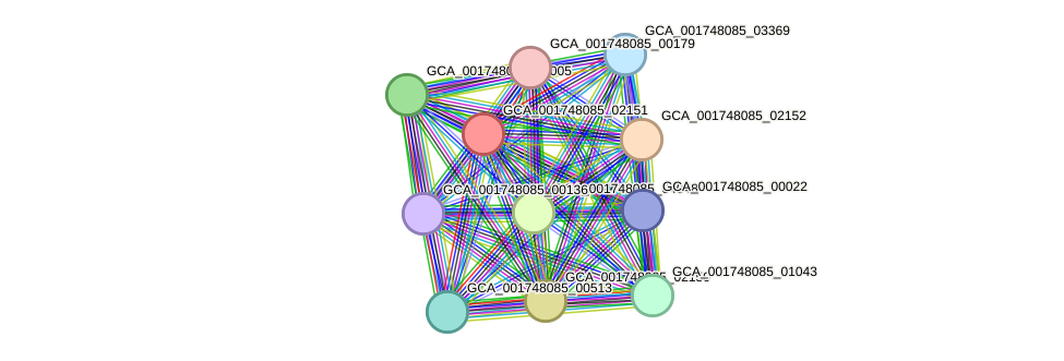 STRING protein interaction network