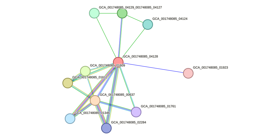 STRING protein interaction network