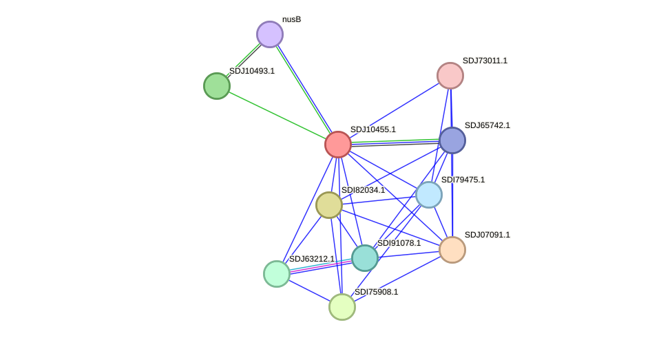 STRING protein interaction network