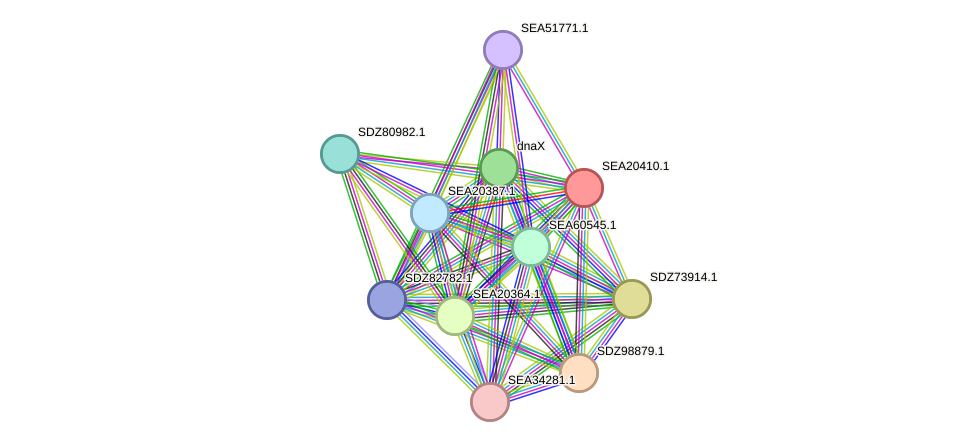 STRING protein interaction network