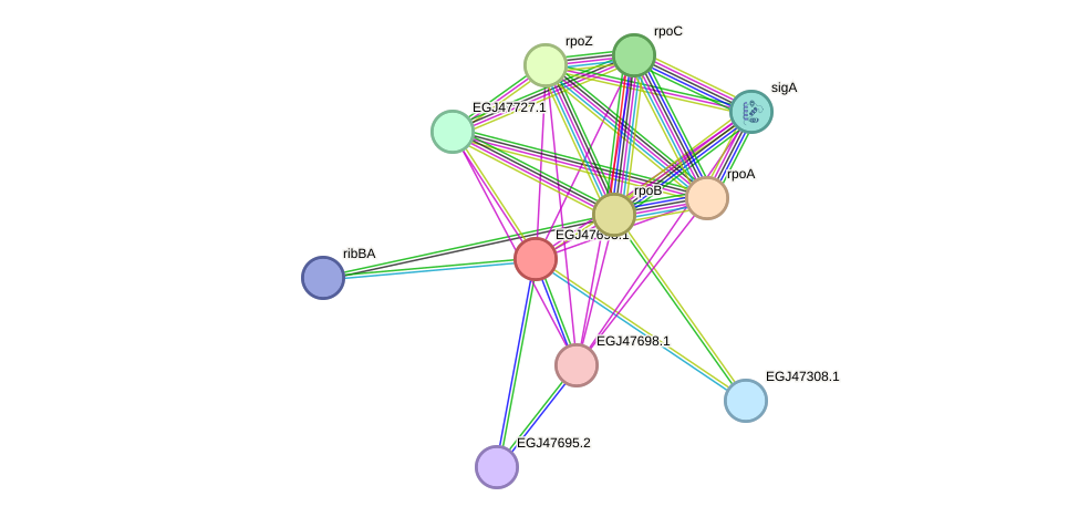 STRING protein interaction network