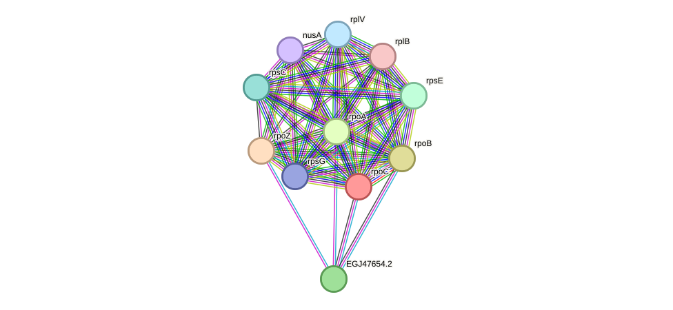 STRING protein interaction network