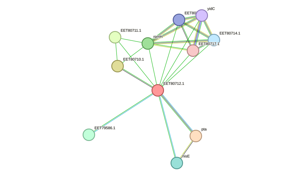 STRING protein interaction network