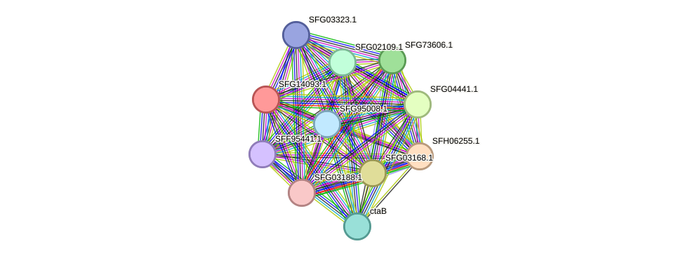 STRING protein interaction network