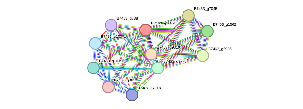 STRING protein interaction network