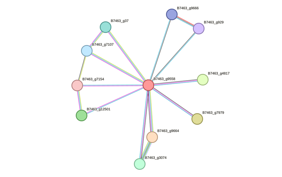 STRING protein interaction network