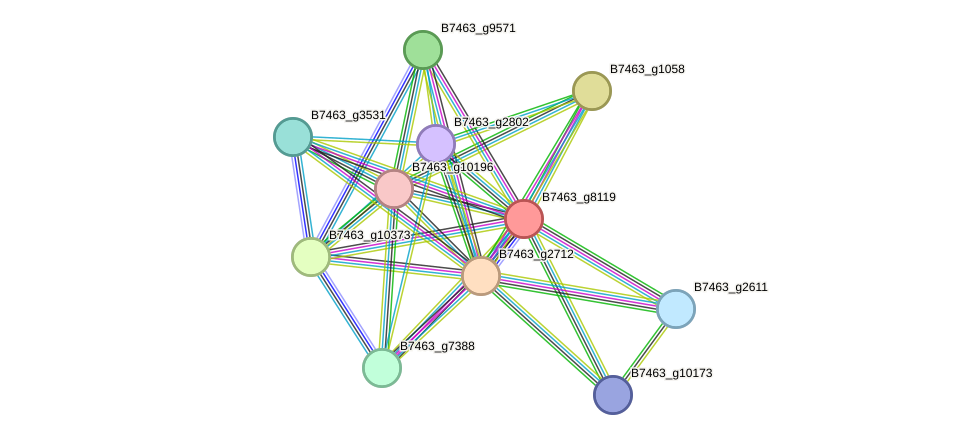 STRING protein interaction network