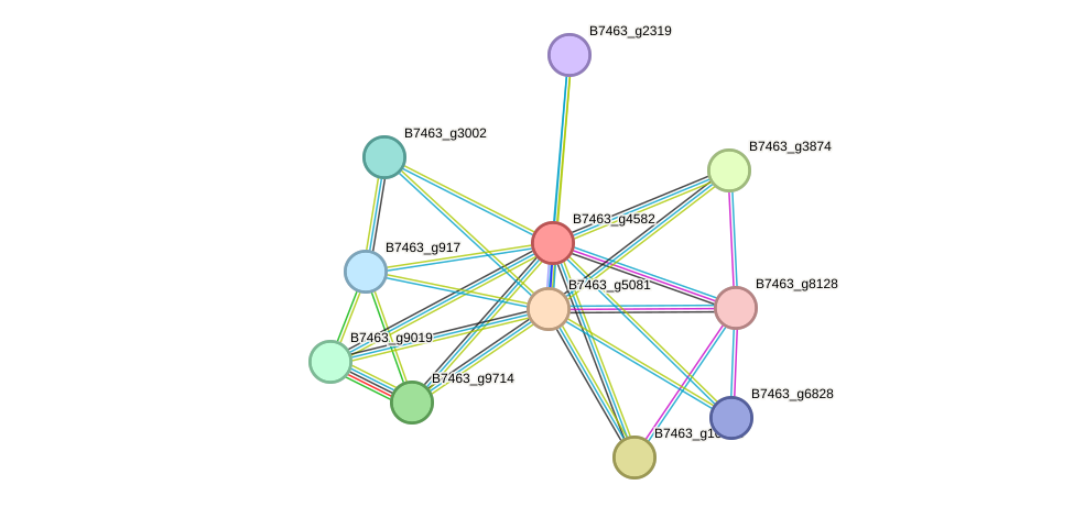 STRING protein interaction network